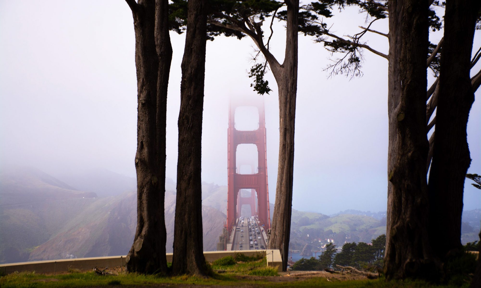 a moody day with some blue sky peaking thru between the trees look at Golden Gate Bridge in SF CA